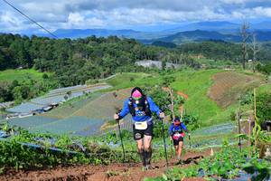 BIB: 
                            <button type="button" onclick="openModal(13379540)" class="btn btn-primary btn-sm float-right btn-popup" data-toggle="modal" data-target=".modal-high-quality">
                        <i class="fas fa-shopping-cart"></i> Add to Cart
                    </button>
                                            <button type="button" onclick="isThisMe(13379540, true)" class="btn btn-success btn-sm float-right btn-popup btn-isme hidden" data-toggle="tooltip" data-placement="bottom" title="นี่คือรูปของคุณใช่ไหม คลิกที่นี่เพื่อเอาเข้าอัลบั้ม">
                        <i class="fas fa-plus"></i> Add to album
                    </button>
                    <button type="button" onclick="isThisMe(13379540, false)" class="btn btn-warning btn-sm float-right btn-popup btn-isnotme hidden">
                        <i class="fas fa-ban"></i> Remove from album
                    </button>